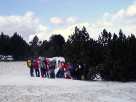 photo coins arrondis